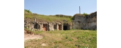 DSC_8370_web