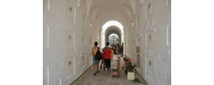 DSC_8395_web