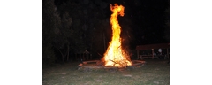 DSC_8526_edited_web