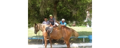 IMG_3852_edited_web