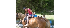 IMG_3884_edited_web