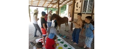 IMG_3899_edited_web