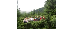IMG_4969_edited_web