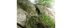IMG_5015_edited_web